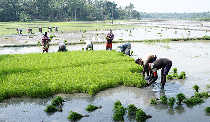 Agriculture